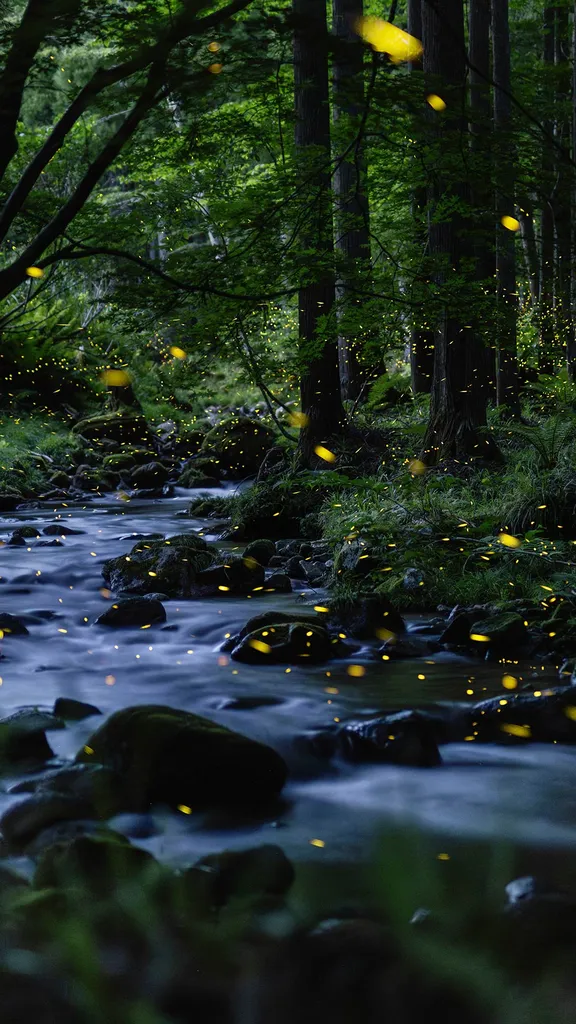 The poetry of vanishing light