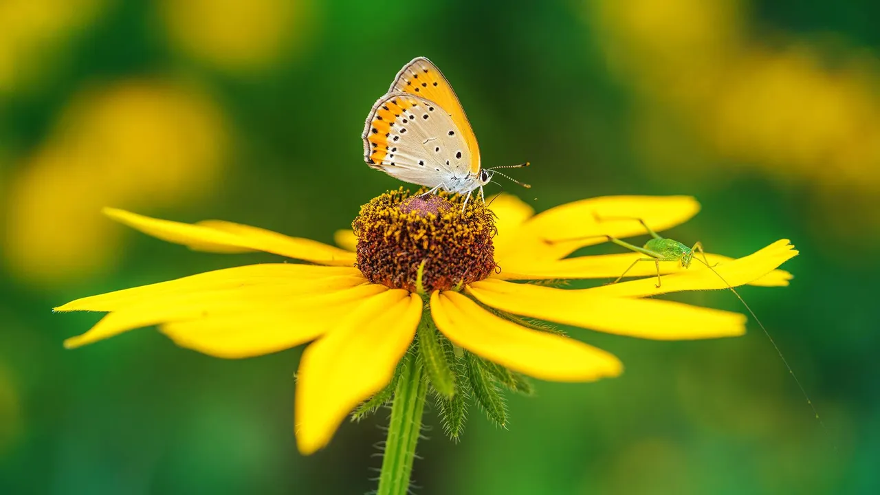 Impollinare il mondo