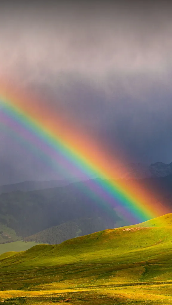 今日は米国の「虹を見つける日」