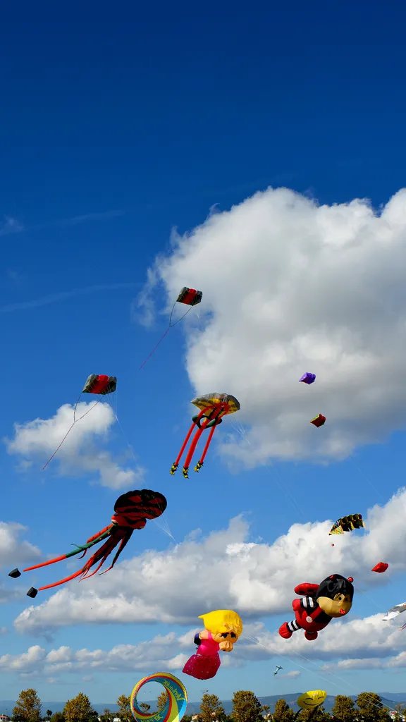 Le ciel en f&ecirc;te