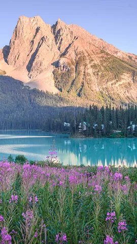 Nature's summer showcase