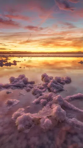 Rosa, rosa, rosa ist alles, was ich sehe