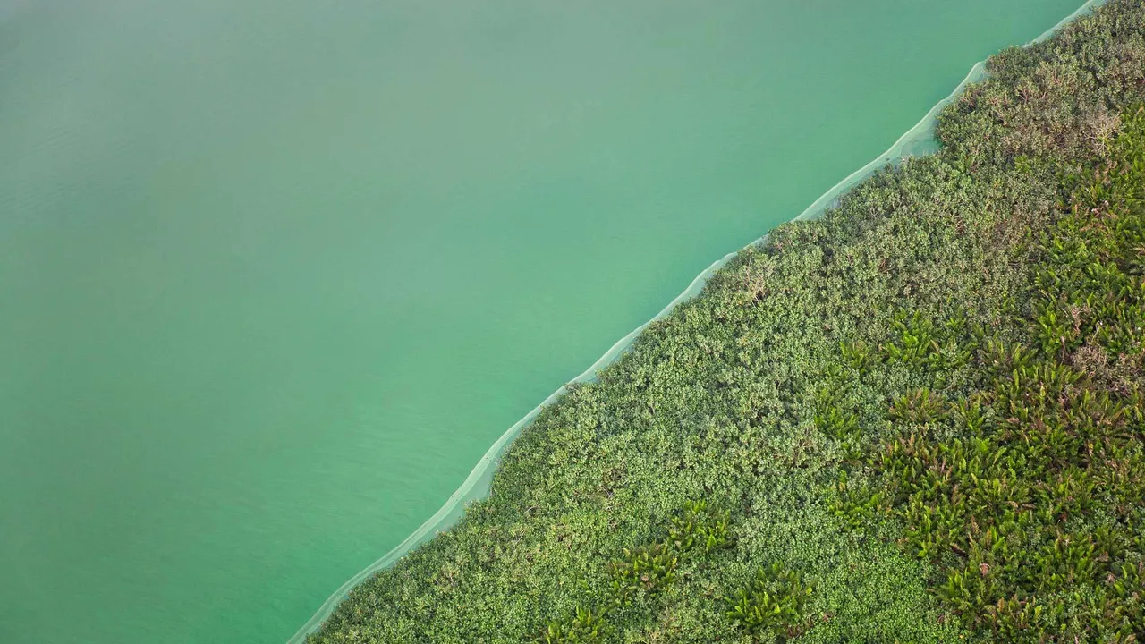 O segredo da Lagoa Verde