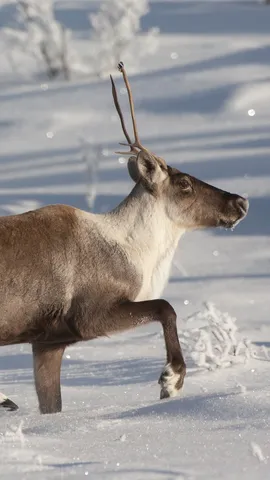 ハッピーホリデーズ！