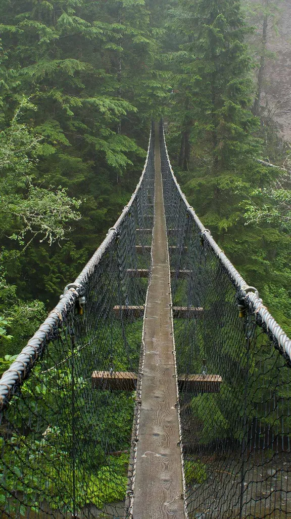 A step above the wild