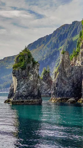 Spire Cove in Kenai Fjords National Park, Seward, Alaska, United States