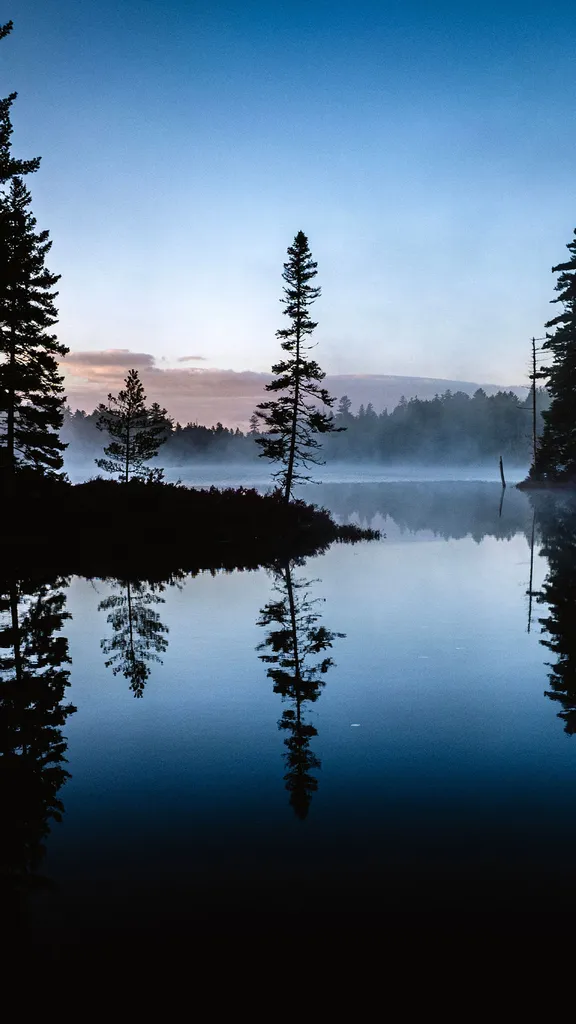 A wilder side of Maine