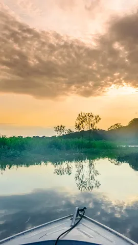 No interior das matas