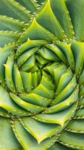 Verborgene Geheimnisse der Natur