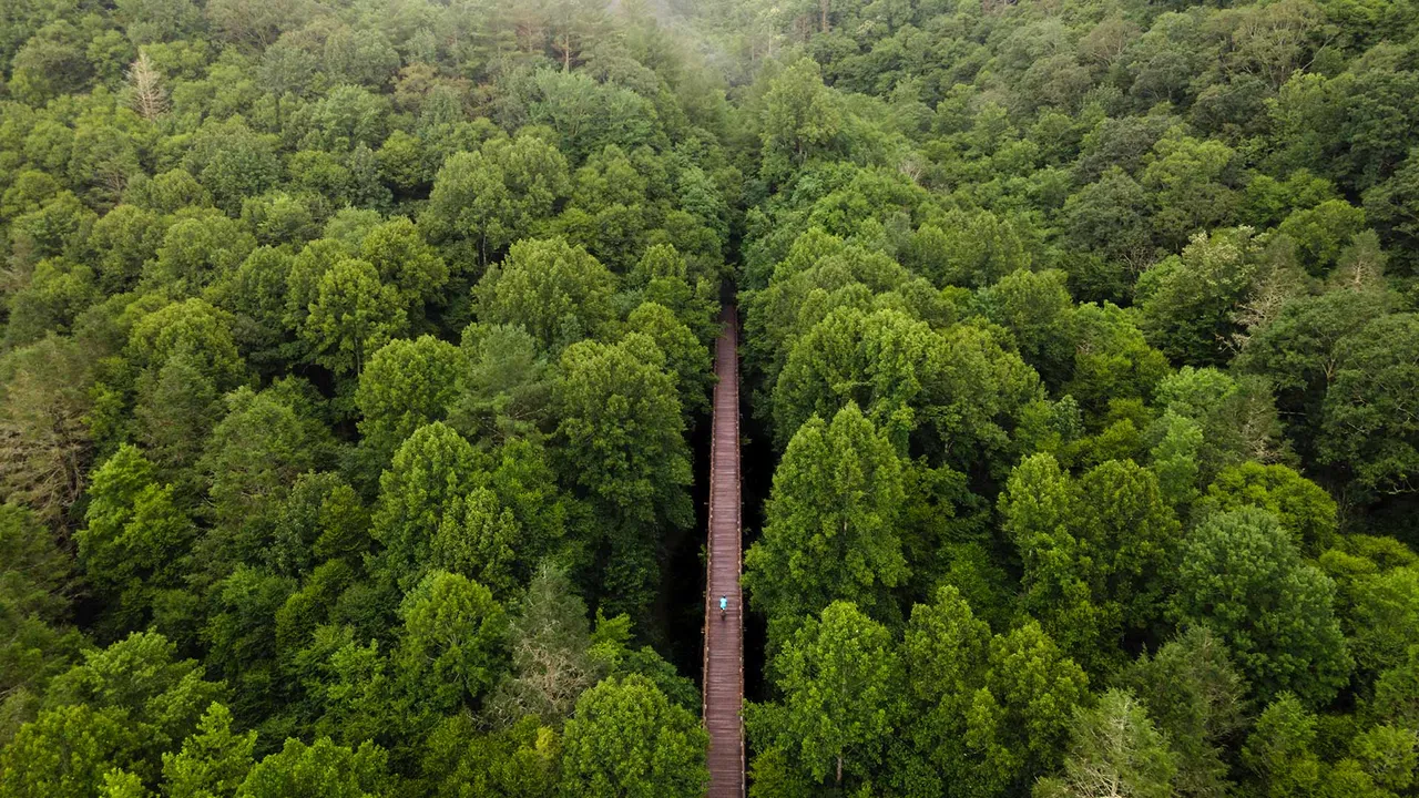 Eine Reise durch die Zeit