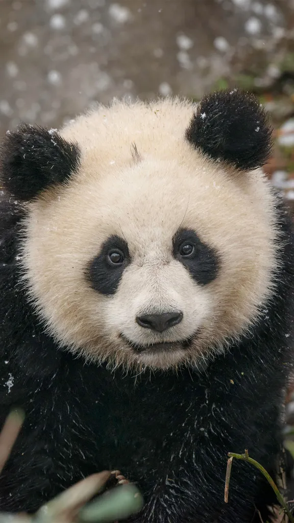 Back to black...and white