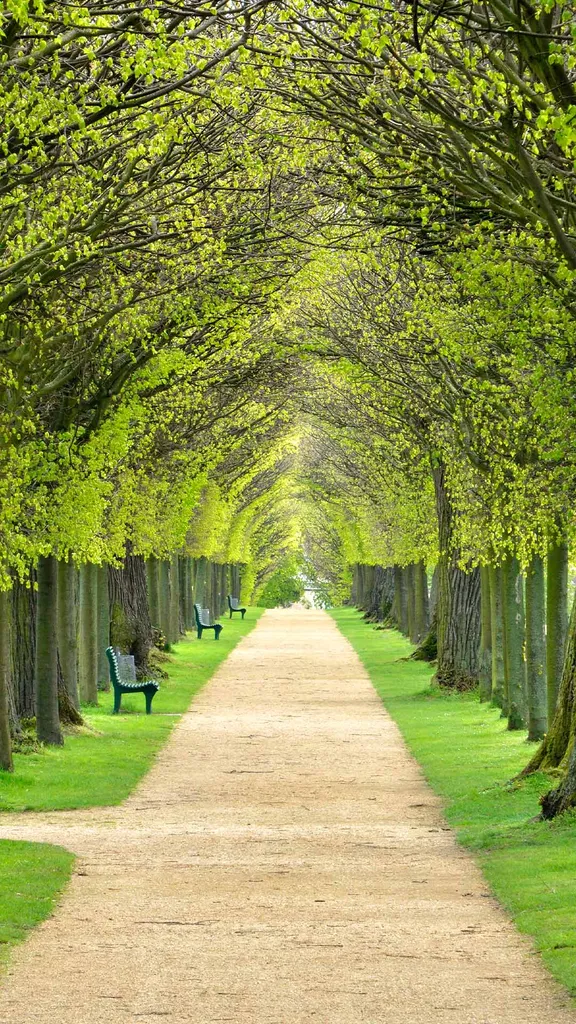 Gr&uuml;n, soweit das Auge reicht