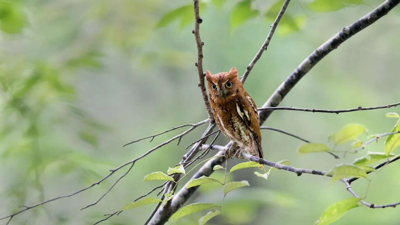 今日は敬老の日