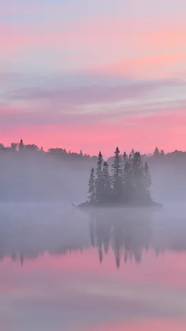 Morning in the mist