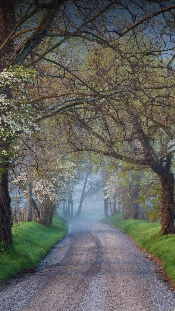 The road not taken