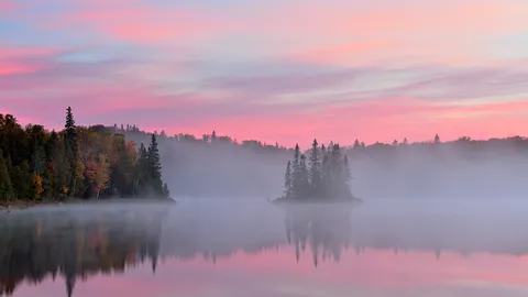 Morning in the mist