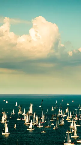 Il golfo si riempie di vele