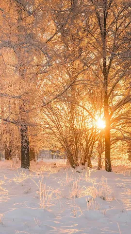 Birth of the new sun