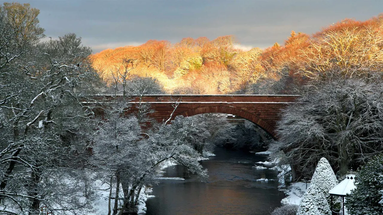 The sun Burns like a red, red rose