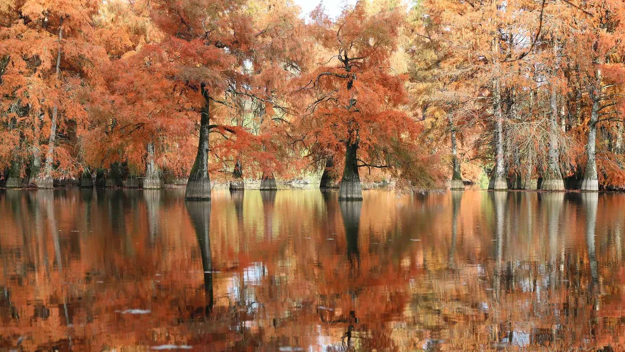 Reflets d&rsquo;automne